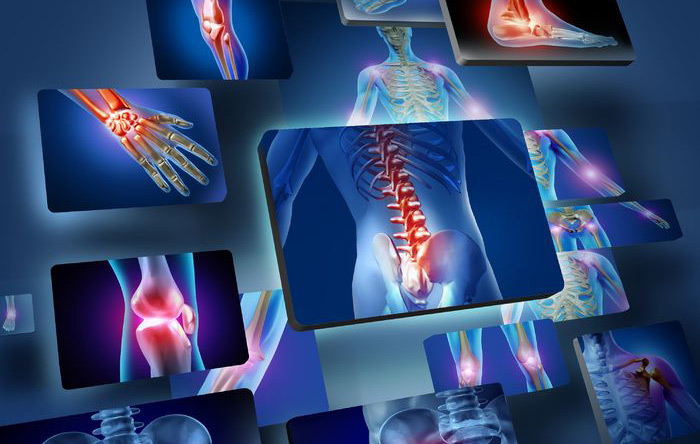 Orthopedic Implants & Instruments Manufacturer/Suppliers- Uteshiya