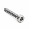 2.7 mm Screw 5.0 mm Hex Head