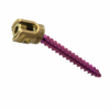 Breakthru Poly Axial Screw 5.5mm