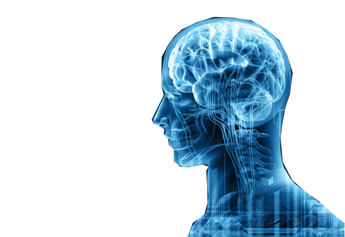 Orthopedic Implants & Instruments Manufacturer/Suppliers- Uteshiya