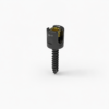 Multi Axial Bone Screw