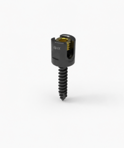 Multi Axial Bone Screw