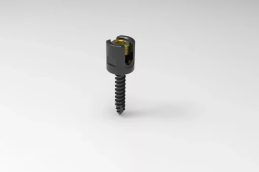 Multi Axial Bone Screw