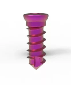 Occipital Screw